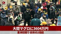 Un thon rouge de 212 kilos vendu pour 257 000 euros lors d'une traditionnelle vente aux enchères du Nouvel An à Tokyo, un prix près de deux fois plus élevé qu'en 2022