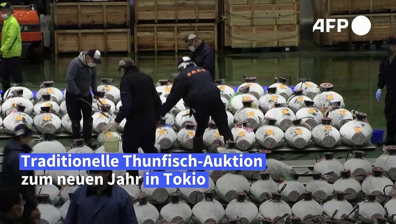 Tokio: Preise auf traditioneller Thunfisch-Auktion ziehen wieder an