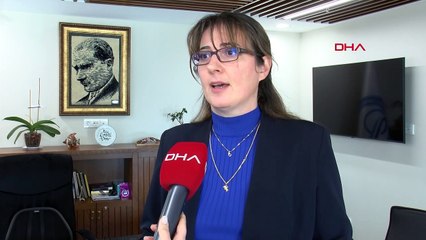 Boğaz'da denizanası yoğunluğu: Balık stoklarında azalmaya sebep oluyor