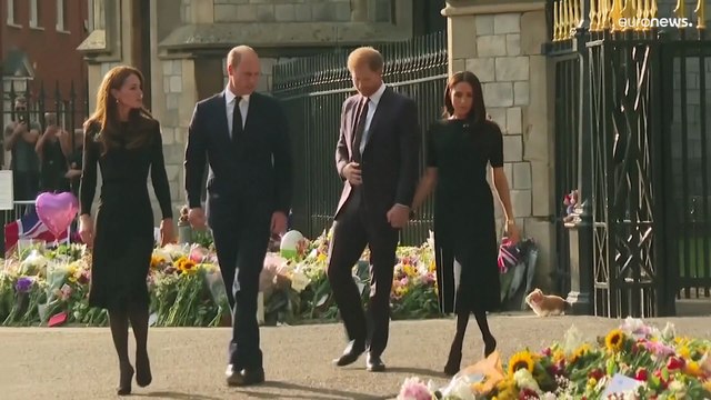 Zuffe reali: il principe Harry fisicamente aggredito dall'erede al trono William