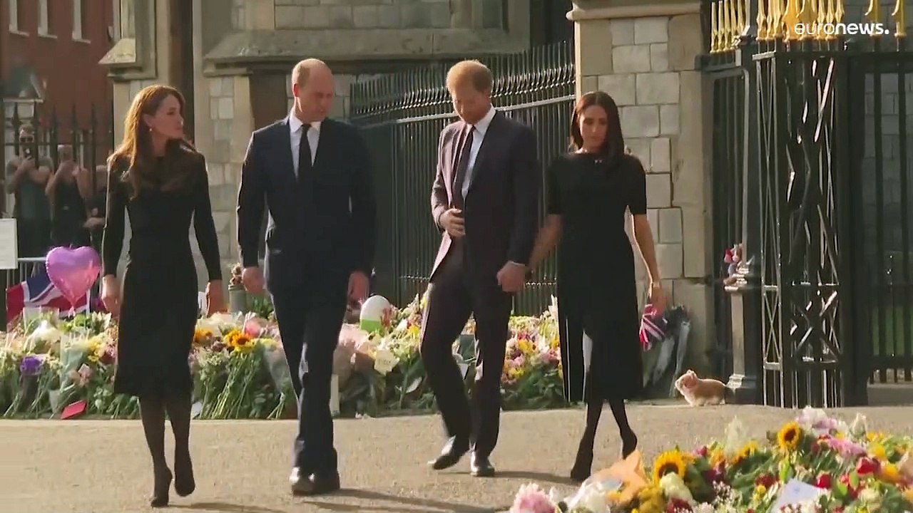 Harry und William: Wegen Meghan flogen zwischen den Brüdern die Fetzen