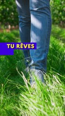 Video-DRAAF-lycee_1080x1920px-Instagram_2