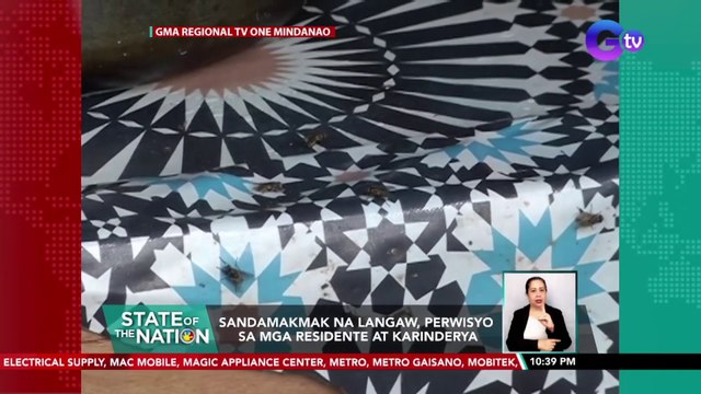 Sandamakmak na langaw, perwisyo sa mga residente at karinderya | SONA