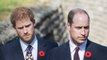 Prince Harry Said Prince William Physically Attacked Him After an Argument Over Meghan Markle