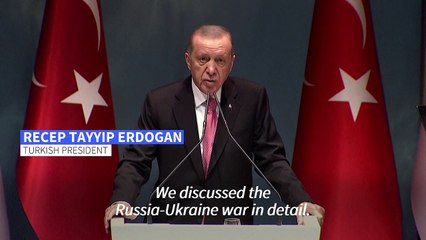 Erdogan says he discussed Ukraine 'in detail' with Putin ahead of Zelensky conversation