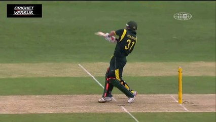 David Warner Incredible Power Hitting Sixes 
