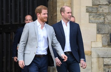 Duke of Sussex called therapist after alleged attack by brother William
