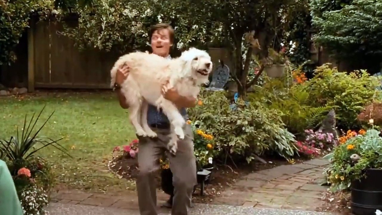 Funniest Dramatic Pets…