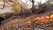 Burning Leaves of the Trees around the Village & Eating Lunch  Villagers in Iran