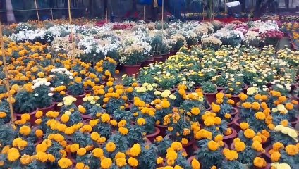 मुख्यमंत्री भूपेश बघेल प्रदर्शनी का 7 जनवरी को करेंगे शुभारंभ