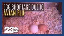 Egg supply down due to Avian Flu, egg prices up