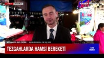 Tezgahlarda hamsi bereketi... Hangi balık kaç lira?