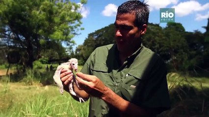 05.01.23 Noticias TVV Meridiano