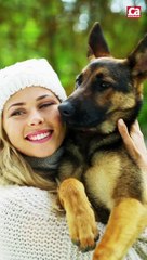 CAM - Quelles sont les races de chiens les plus faciles à dresser ?