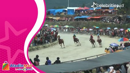 Aksi Joki Cilik Pacu Kuda di Atraksi Budaya Gayo, Seru!