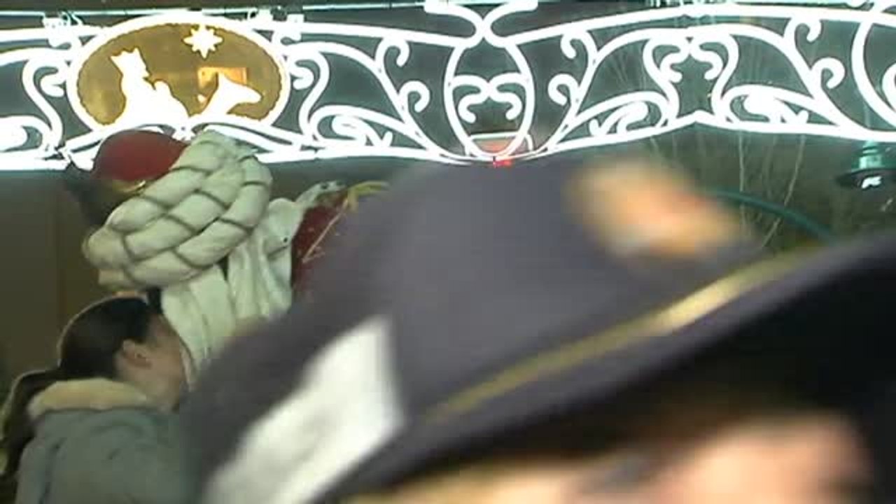 División de opiniones por la presencia de animales en las cabalgatas de los Reyes Magos