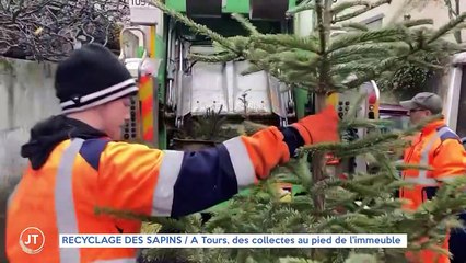 RECYCLAGE DES SAPINS / A Tours, des collectes au pied de l'immeuble