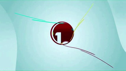 Diez Mar del Plata - ID y continuidad (2021)