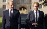 Prince Harry's New Book Alleges Prince William's Physical Attack