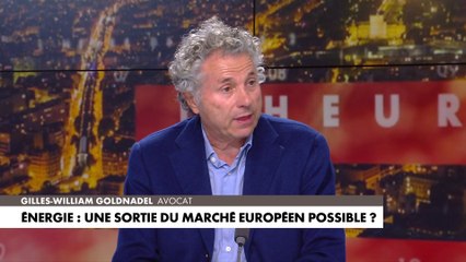 Gilles-William Goldnadel : «Madame Borne a annoncé qu'elle fermait Fessenheim dans le but d'en terminer avec le nucléaire»