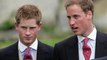 Prince Harry claims William and Kate encouraged him to wear Nazi costume