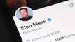 Elon Musk Must Step Down From Twitter Before Tesla Reports Earnings, Dan Ives Says