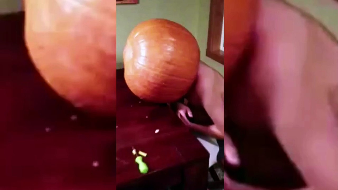 How did his head fit in there