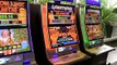 Coalition sides with Greens in push for cashless gambling across New South Wales