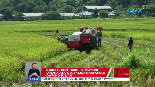 P6,000 fertilizer subsidy, planong ipamahagi ng D.A. sa mga magsasaka ngayong buwan | UB