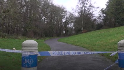 Body found in Essex pond confirmed to be Phillip Lewis, 59