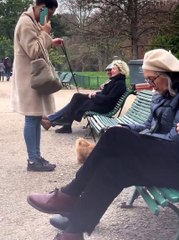 Dog Jumps on Random Person