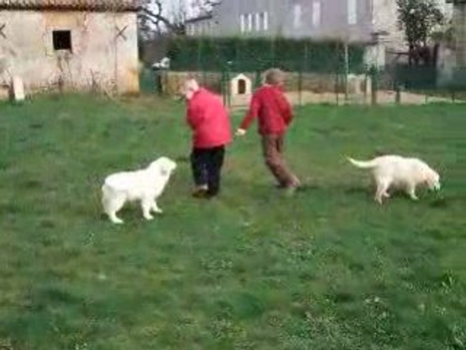 Film canelle chance mars 2008 (4)