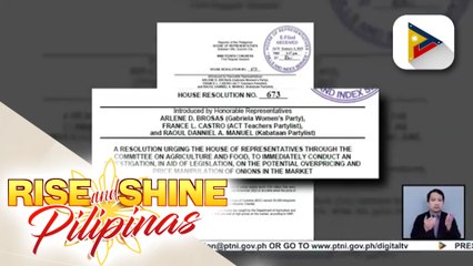 Makabayan bloc, nais matukoy kung may nangyayari bang overpricing at price manipulation sa sibuyas