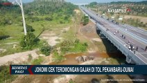 Tinjau Terowongan Gajah di Tol Pekanbaru-Dumai, Jokowi: Tetap Jaga Kelestarian dan Satwa Liar