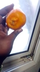 চলন্ত ট্রেনে কমলা খাওয়া Techshahin24