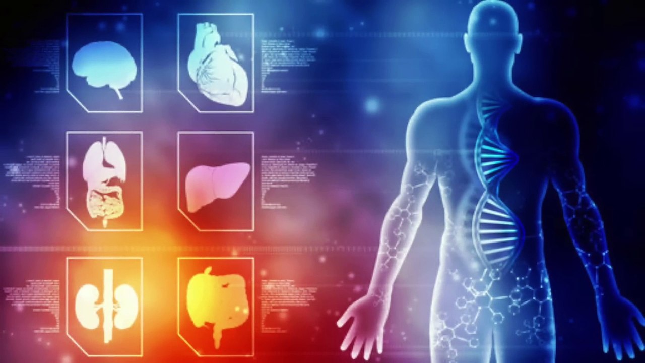 The #1 Deficiency behind All Autoimmune Diseases-explained by dr burg(1080p)