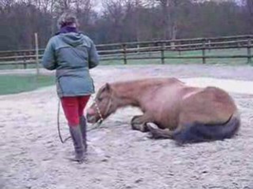 Mira sauts et surprise