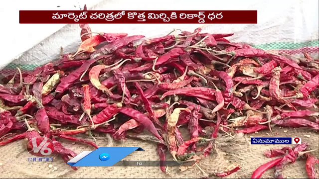 Mirchi Rates Creates Record In Warangal _ Enumamula Market _ V6 News