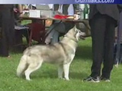 Oumiaks Oasis Shadrin - German specialty 2007