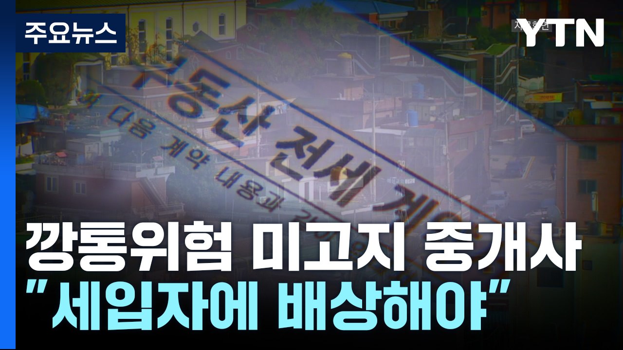 '깡통 전세' 위험 안 알려준 중개사...법원 "세입자에 배상" / YTN