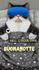 Immagini Buonanotte da condividere con gli amici su Whatsapp