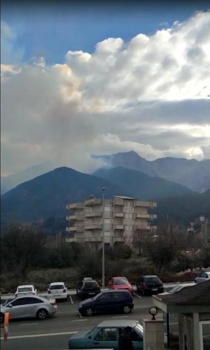 DENİZLİ'DEKİ ORMAN YANGININDA 5 HEKTAR ALAN ZARAR GÖRDÜ