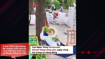 5 sao TVB ở vậy không lấy chồng: Châu Hải My mua biệt thự nuôi chó, Lý Nhược Đồng trẻ mãi | Điện Ảnh Net