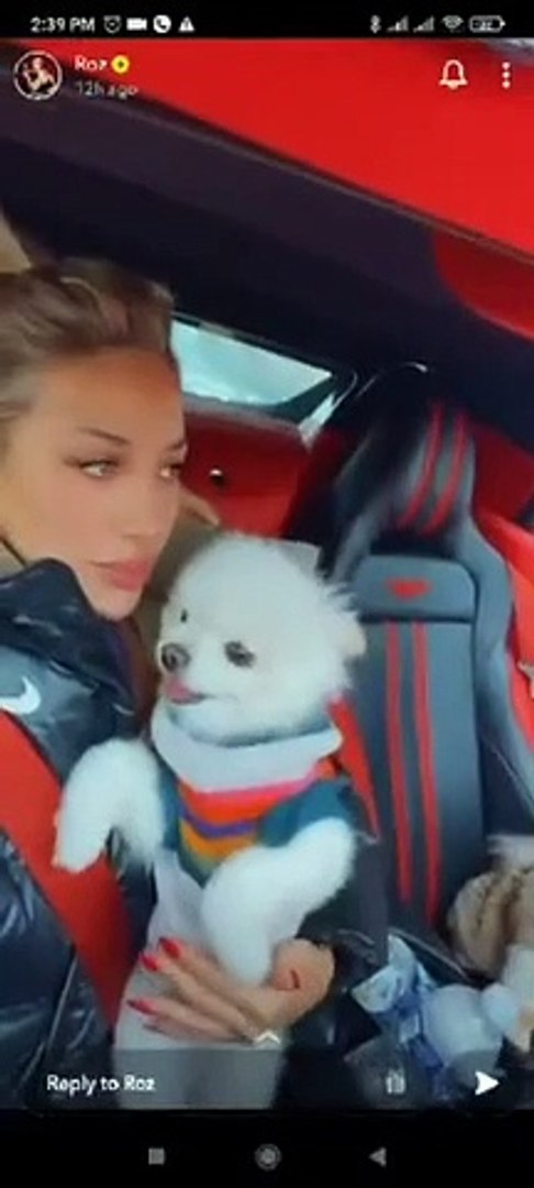مودل روز تلهو مع كلابها في السيارة - فيديو Dailymotion