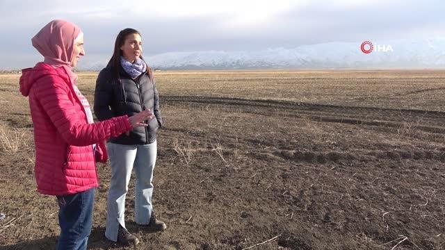 Filistinli 2 kadın turist, Yüksekova'da buzulları barındıran Cilo Dağları'na hayran kaldı