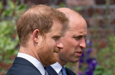 Prince Harry calls Prince William 'arch-nemesis'