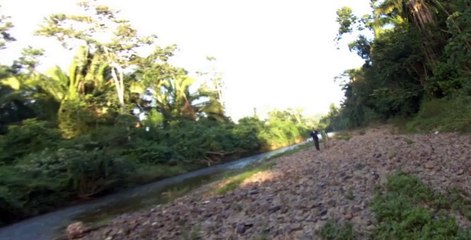 Wild Kratts S02 E10