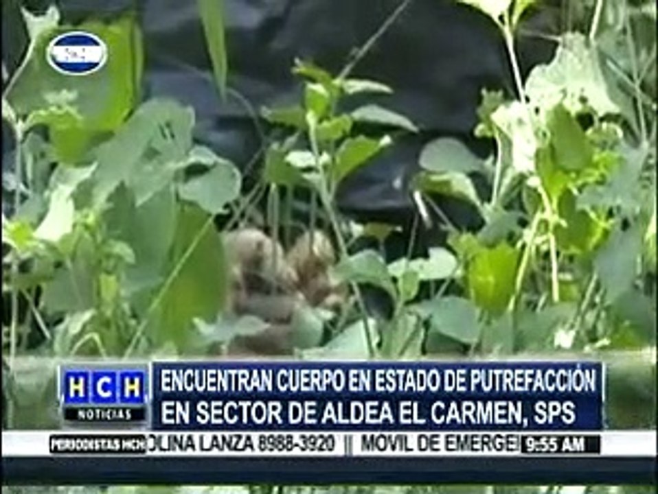 Encuentran un embolsado putrefacto a carretera a colonia a El Carmen, SPS