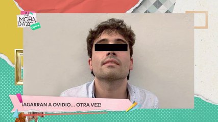 ¡Agarran a Ovidio... otra vez! - Almohadazo Casero