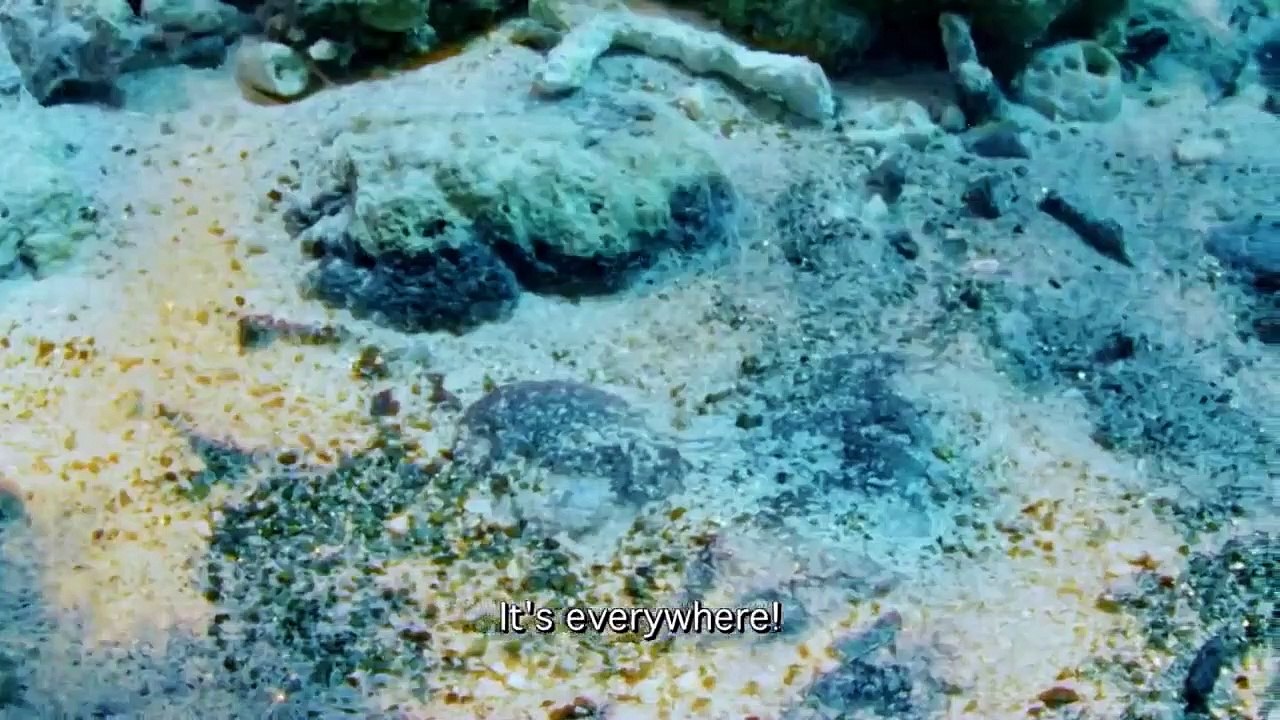 Cooper's Treasure - Se2 - Ep07 HD Watch